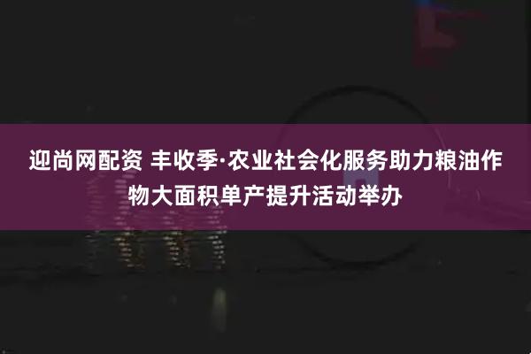 迎尚网配资 丰收季·农业社会化服务助力粮油作物大面积单产提升活动举办