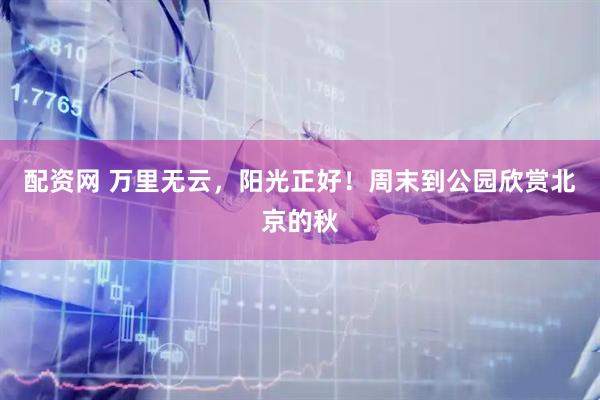 配资网 万里无云，阳光正好！周末到公园欣赏北京的秋